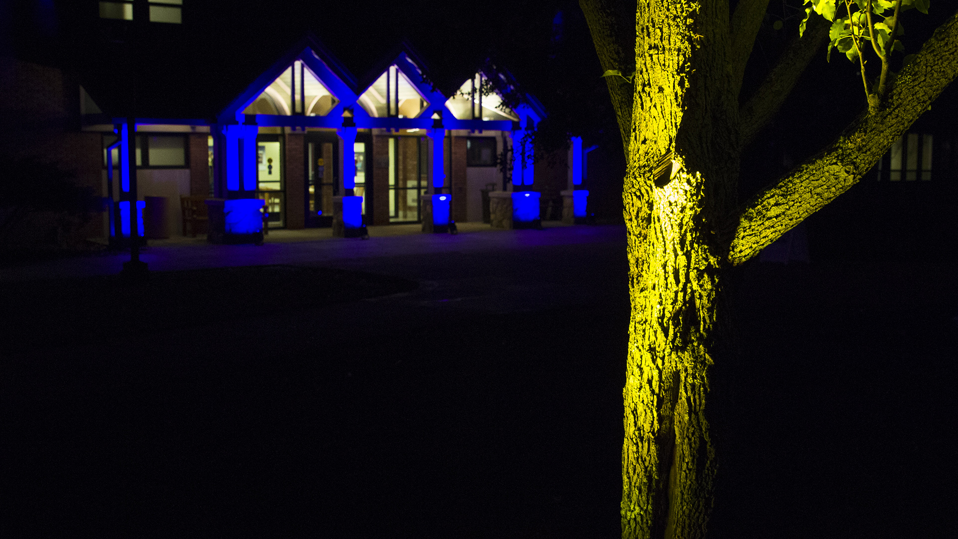 Swarts Hall at night