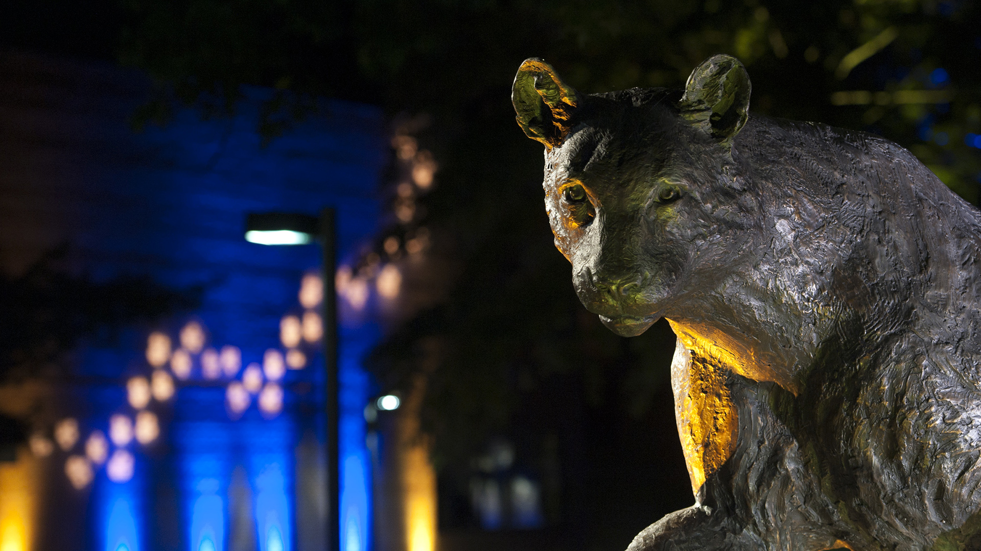 Swarts Hall night