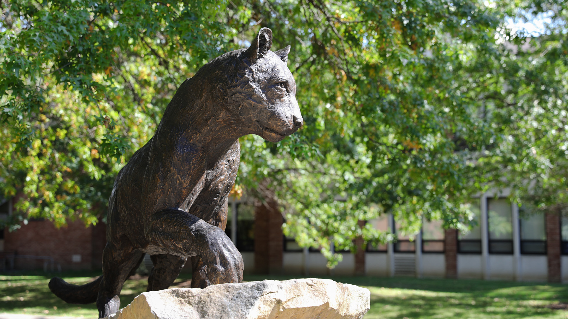Panther statue
