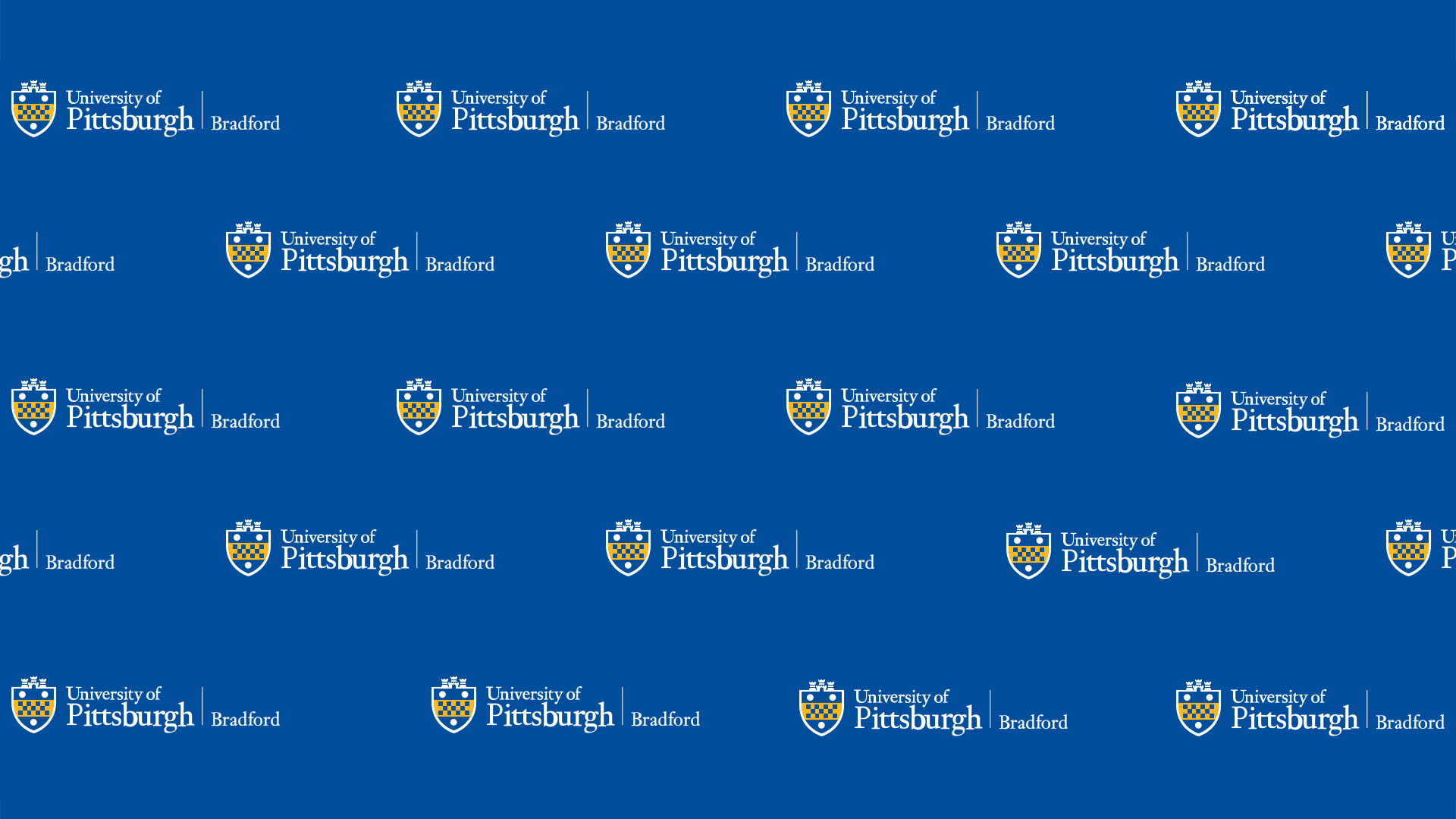 Pitt-Bradford Backdrop