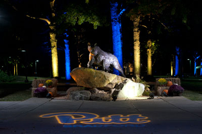 Panther at night