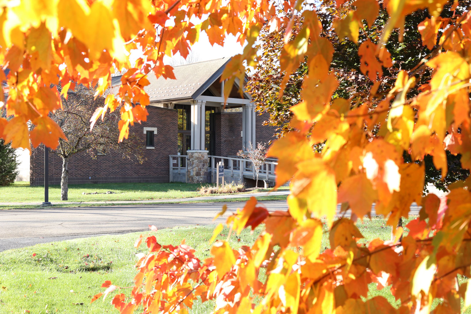 Chapel and Leaves