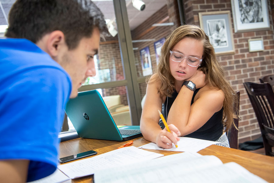 Students studying at a table