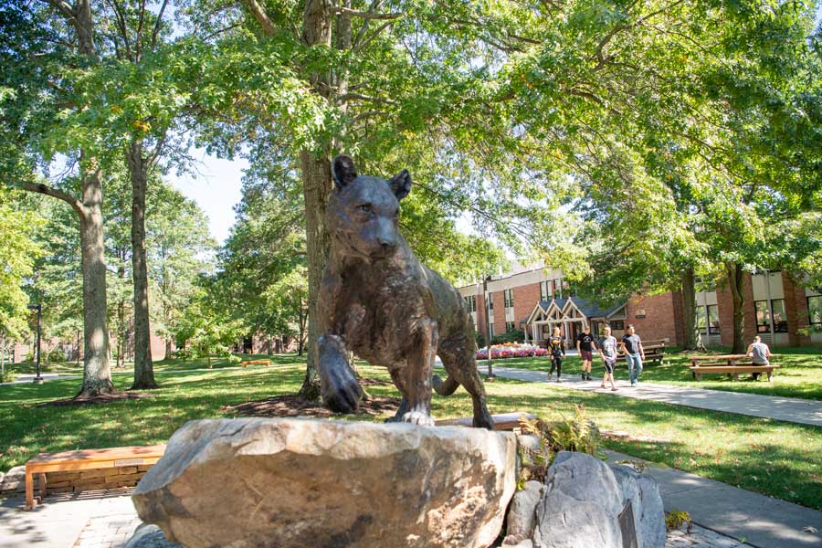 university of pittsburgh bradford virtual tour