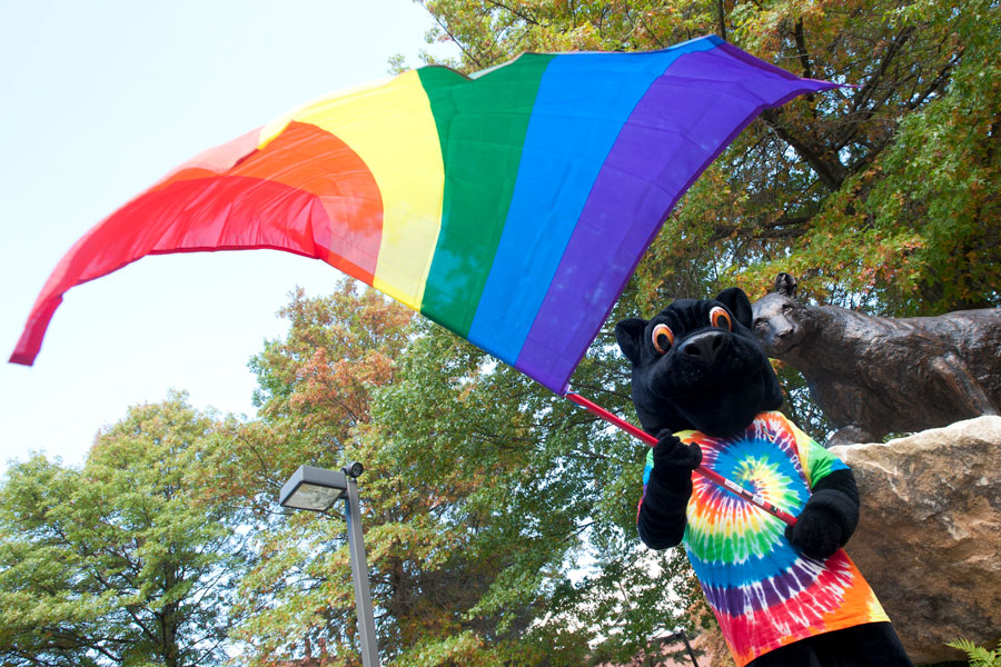 Panther with pride flag