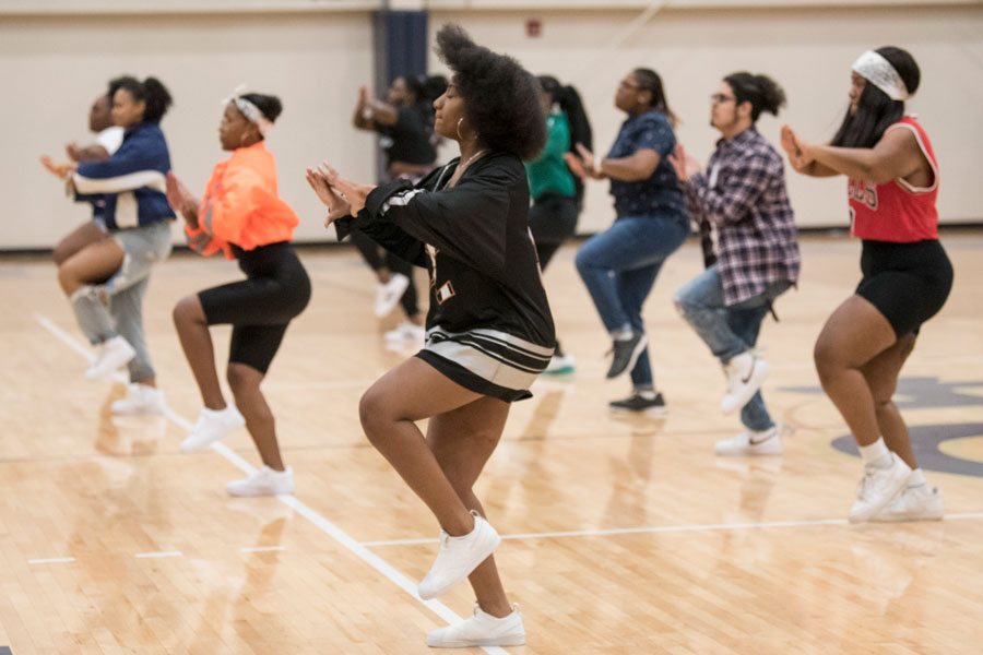 Diamond Steppers group