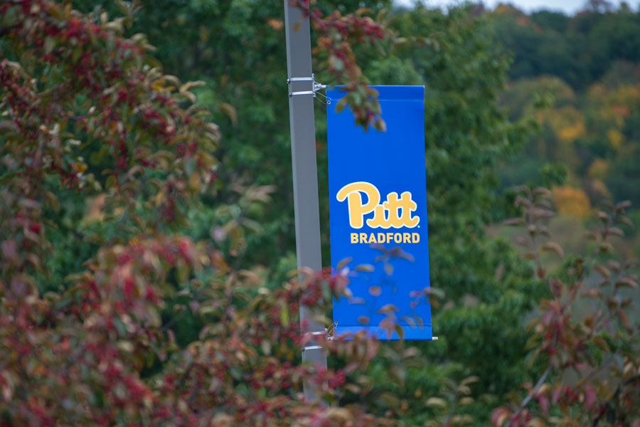Pitt Banner