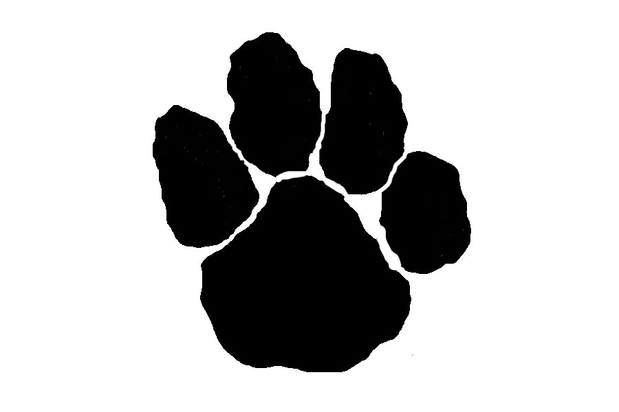 Panther Paw