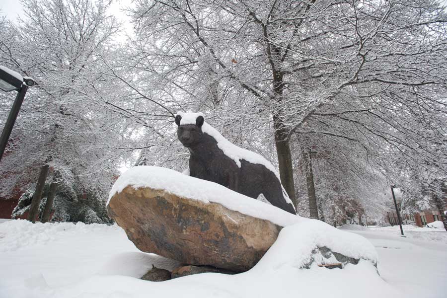 Snow on Panther Statue