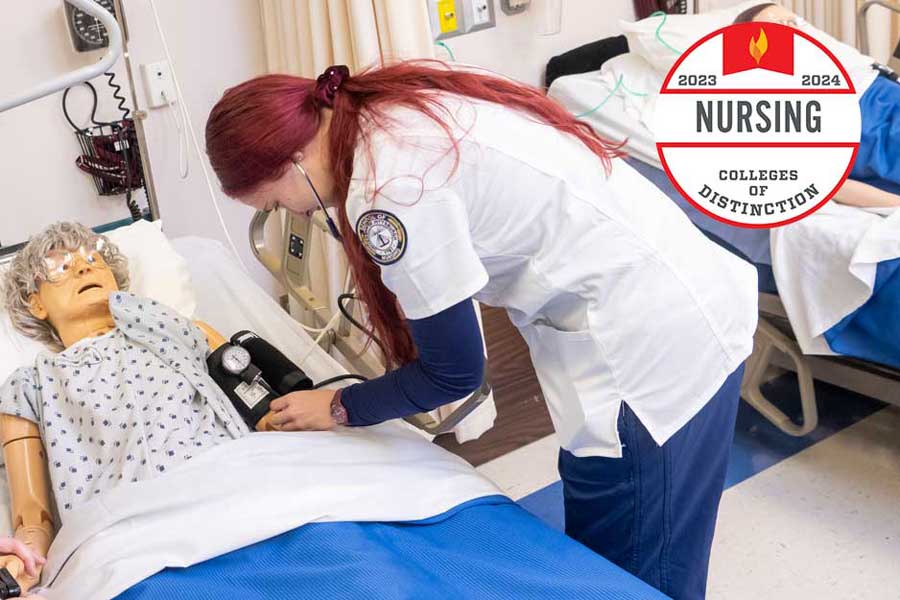 Nursing RN-BSN