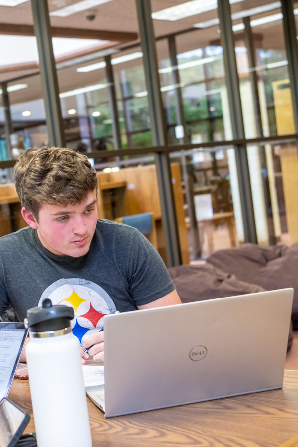 Student in Library studying