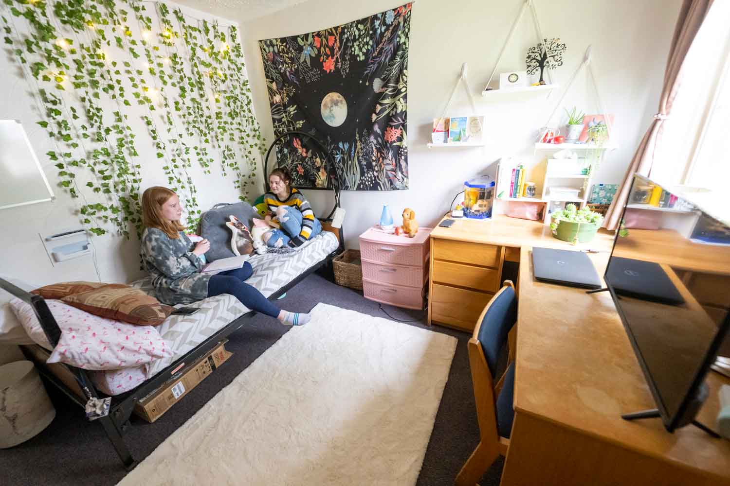 Students studying in townhouse room