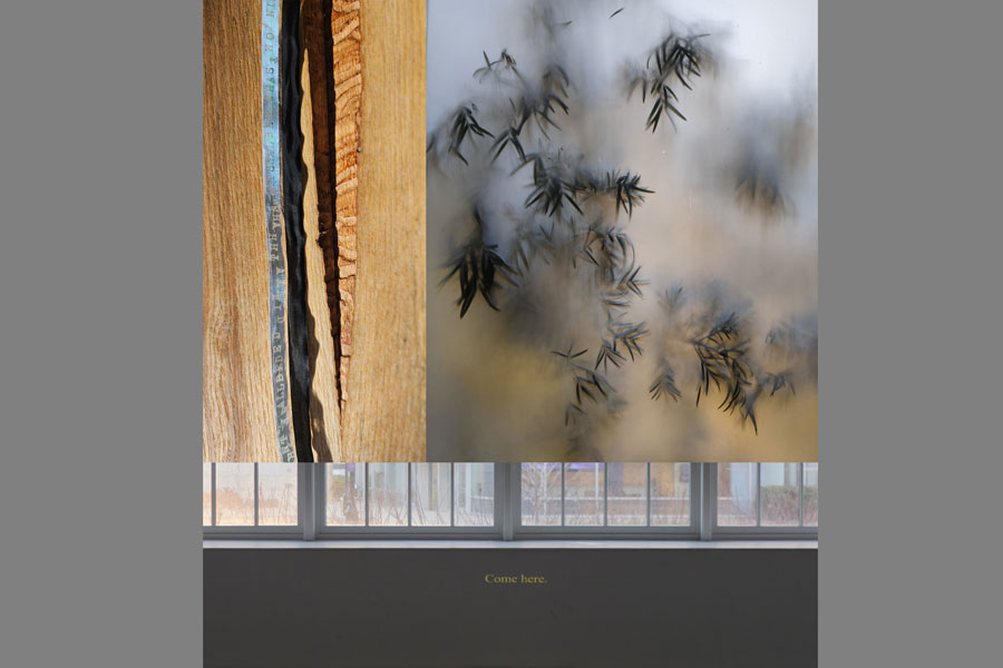 Bewilderment, Art Exhibition