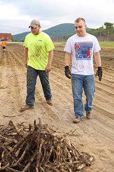 Planting