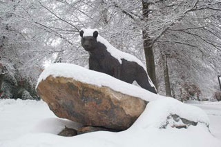 Snow on Panther Statue