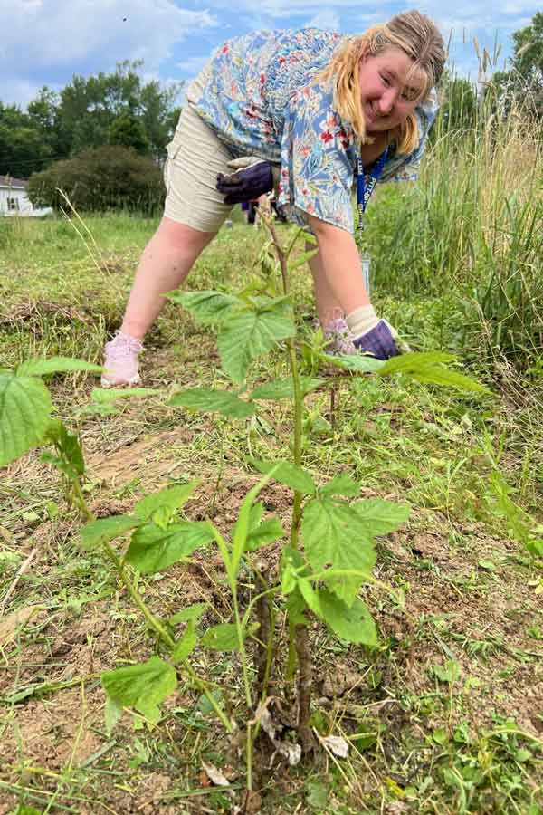 A student weeding a garden 