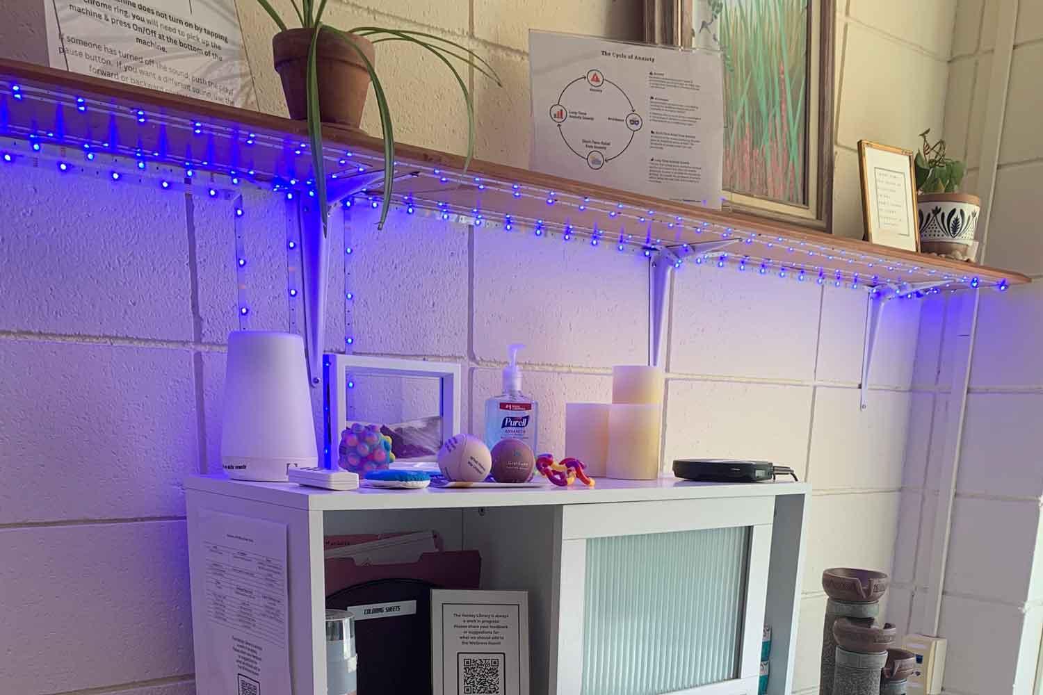 Wellness Room Shelf