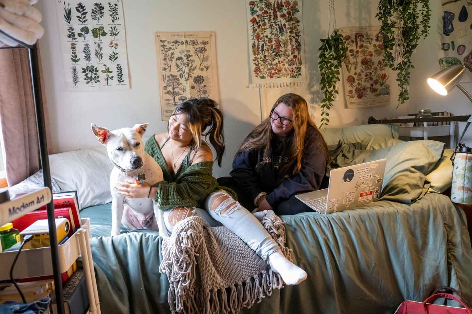 Petting a dog in the townhouses