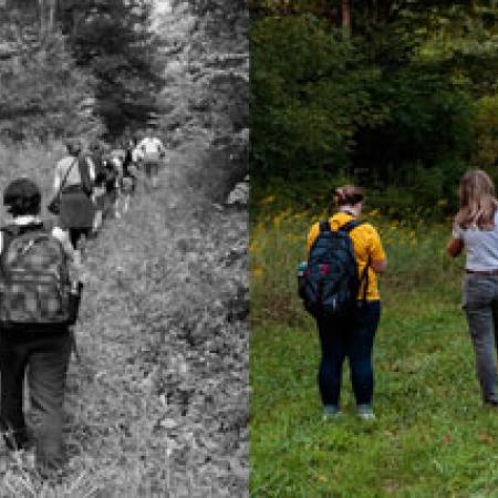 Hikers