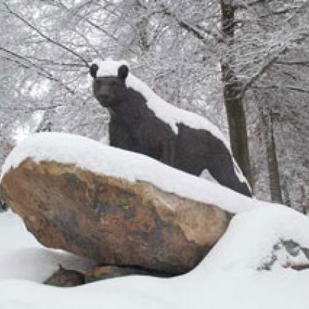 Snow on Panther Statue
