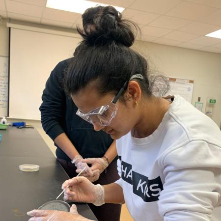 Student conducting research