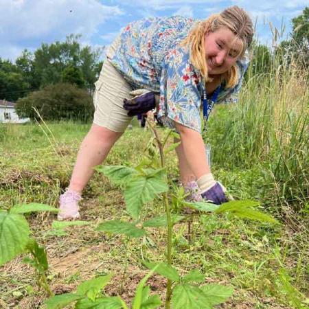 A student weeding a garden 