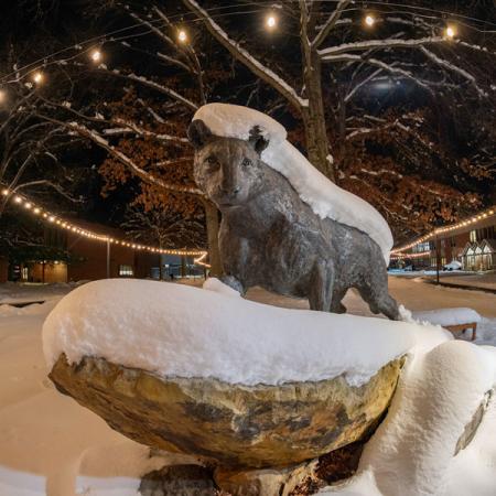 Snow on the panther statue with lights overhead