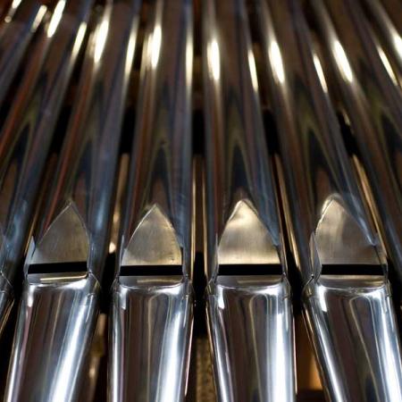 the pipes of an organ
