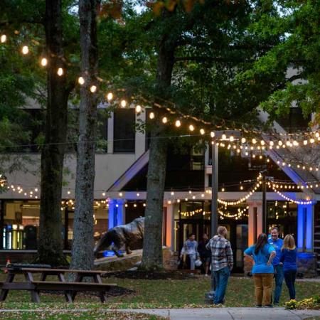 People socializing during light up the quad at AFW